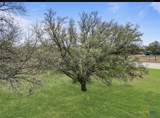 1900 Chukar Street - Photo 2