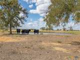 1801 County Road 470 - Photo 33