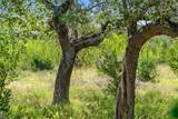 620 Rio Vista Road - Photo 24