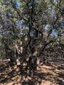 Lot 162 Addax Court - Photo 19