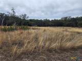 Lot 162 Addax Court - Photo 2