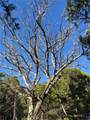 Lot 162 Addax Court - Photo 21