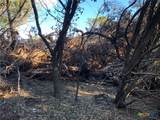 Lot 162 Addax Court - Photo 23