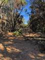 Lot 162 Addax Court - Photo 5