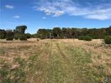 Lot 162 Addax Court - Photo 8