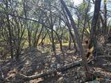 20702 Oak Ridge - Photo 3