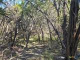 20702 Oak Ridge - Photo 5