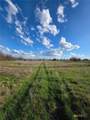 Lot 3 Hackberry Ranchettes Hackberry Road - Photo 5
