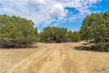 1934 Live Oak Cemetery Road - Photo 16