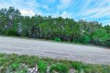 Lot K11050 Mountain Dew - Photo 11
