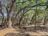 369 Onion Creek Lane - Photo 7