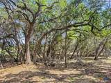 369 Onion Creek Lane - Photo 9
