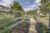 907 Shady Hollow - Photo 38