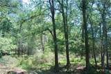 1049 Muehr Road - Photo 15