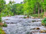 1029 Gruene Road - Photo 42
