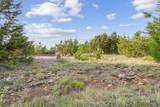 TBD Cottonwood Mesa Drive - Photo 13