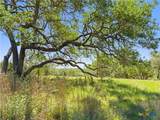 163 Stallion Estates Drive - Photo 15