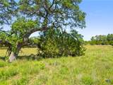 163 Stallion Estates Drive - Photo 2