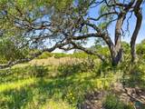 163 Stallion Estates Drive - Photo 8