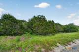 189 Morning View Drive - Photo 42