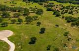 993 Blackbuck Ridge Drive - Photo 13