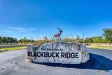 993 Blackbuck Ridge Drive - Photo 21