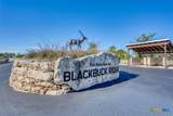 993 Blackbuck Ridge Drive - Photo 22