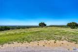 993 Blackbuck Ridge Drive - Photo 3