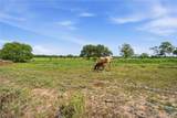 1883 Turkey Bottom Road - Photo 18
