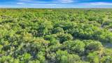 00 Us-87 Highway - Photo 14