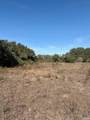 00 Quail Run Trail - Photo 3