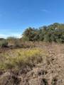 00 Quail Run Trail - Photo 7