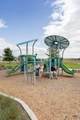 9116 Golden Lion Drive - Photo 24