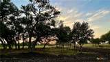 101 Pr 1295 - Photo 1