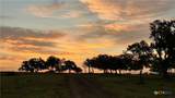 101 Pr 1295 - Photo 11