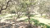 7821 Elk Drive - Photo 29