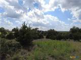 1221 Brushy Cove - Photo 5