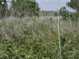 Lot 270 Guadalupe River Road - Photo 4