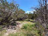 560 Hummingbird Hill - Photo 12