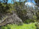 1841 Canyon Lake Drive - Photo 11