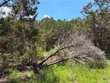 1841 Canyon Lake Drive - Photo 12