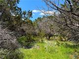 1841 Canyon Lake Drive - Photo 13