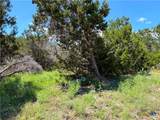 1841 Canyon Lake Drive - Photo 7