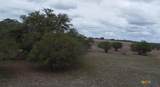 1370 Ward Street - Photo 4