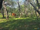 766 Rawhide Road - Photo 10