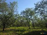 766 Rawhide Road - Photo 6