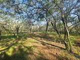 766 Rawhide Road - Photo 7