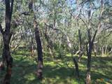 766 Rawhide Road - Photo 9