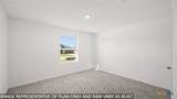 152 Baby Calf Roping Road - Photo 21