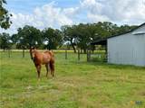 15631 Fm 682 - Tract G - Photo 4